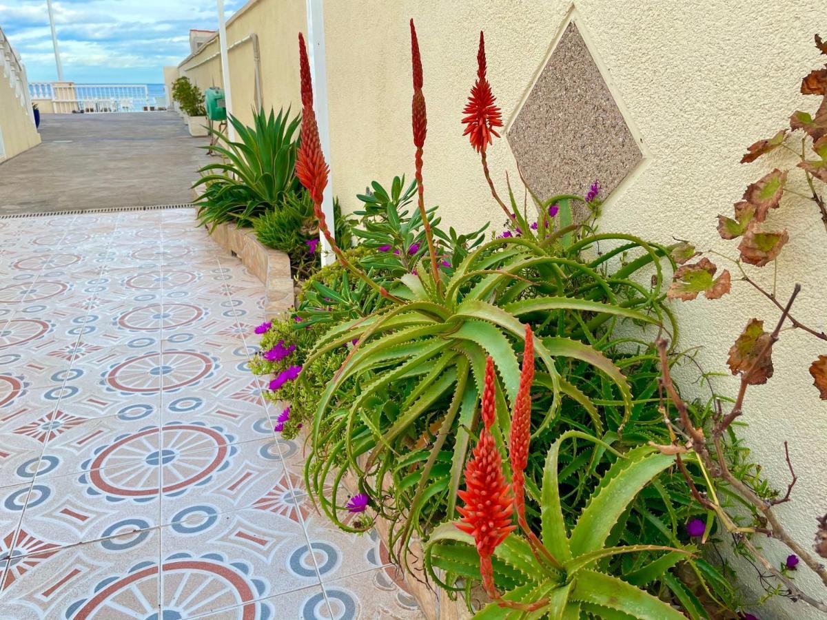 Royal Beach House Vista Mar La Mata  Exteriér fotografie